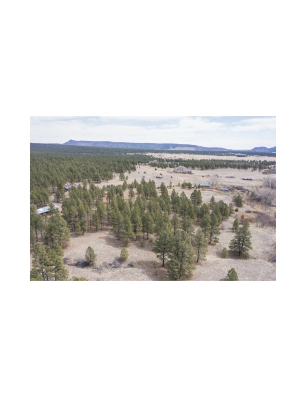 357 Cr C004, Ocate, New Mexico image 5