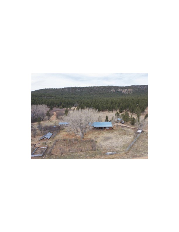 357 Cr C004, Ocate, New Mexico image 4