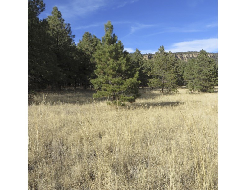 357 Cr C004, Ocate, New Mexico image 16