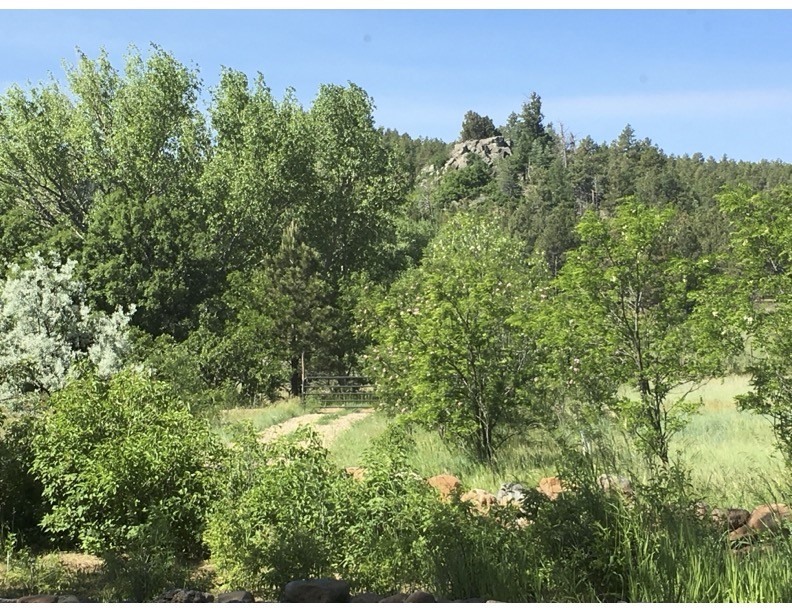 357 Cr C004, Ocate, New Mexico image 11