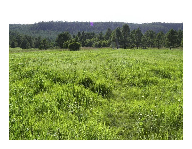 357 Cr C004, Ocate, New Mexico image 14