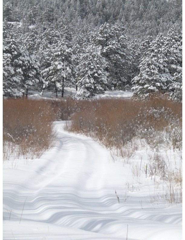 357 Cr C004, Ocate, New Mexico image 22