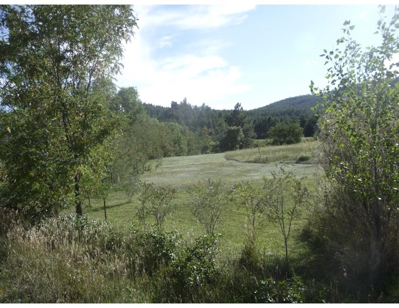 357 Cr C004, Ocate, New Mexico image 15