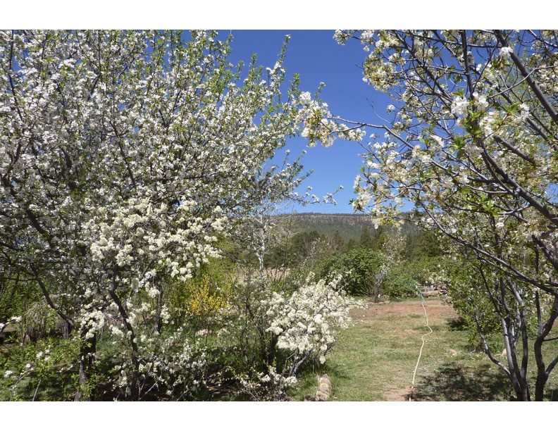 357 Cr C004, Ocate, New Mexico image 10