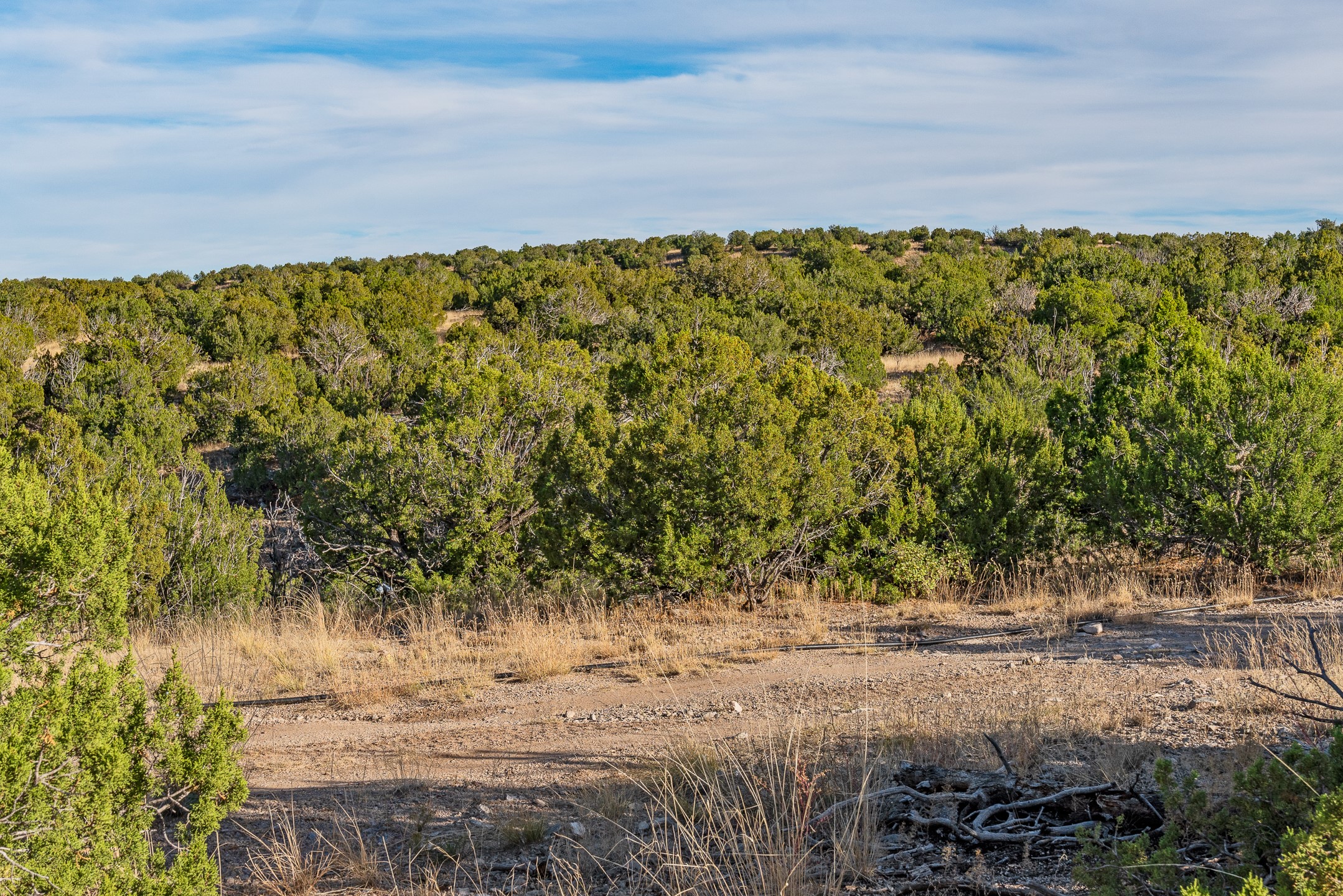 50 Hanuman Rd, Cerrillos, New Mexico image 40