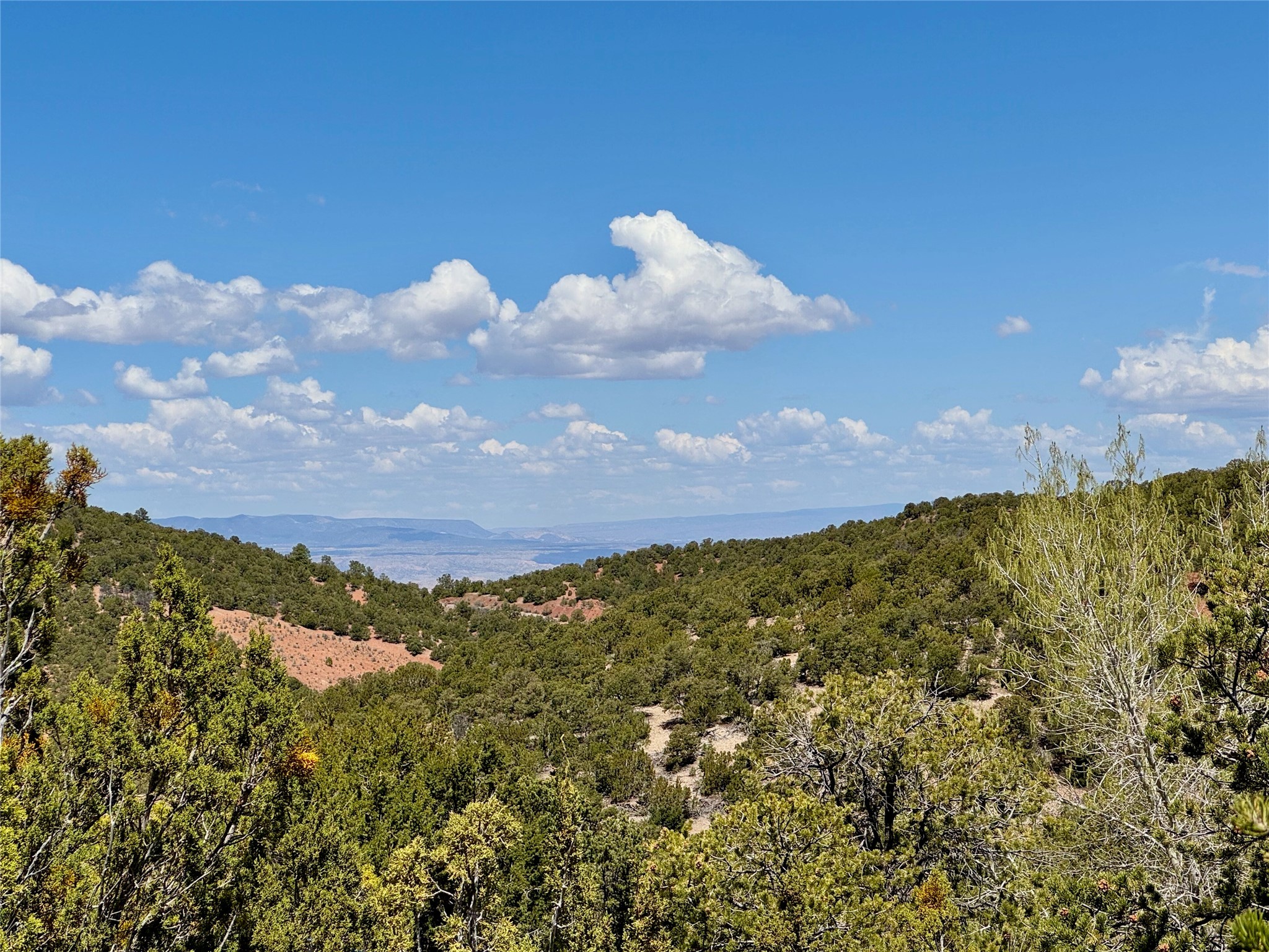 Various Summit Hills, Santa Fe, New Mexico image 48