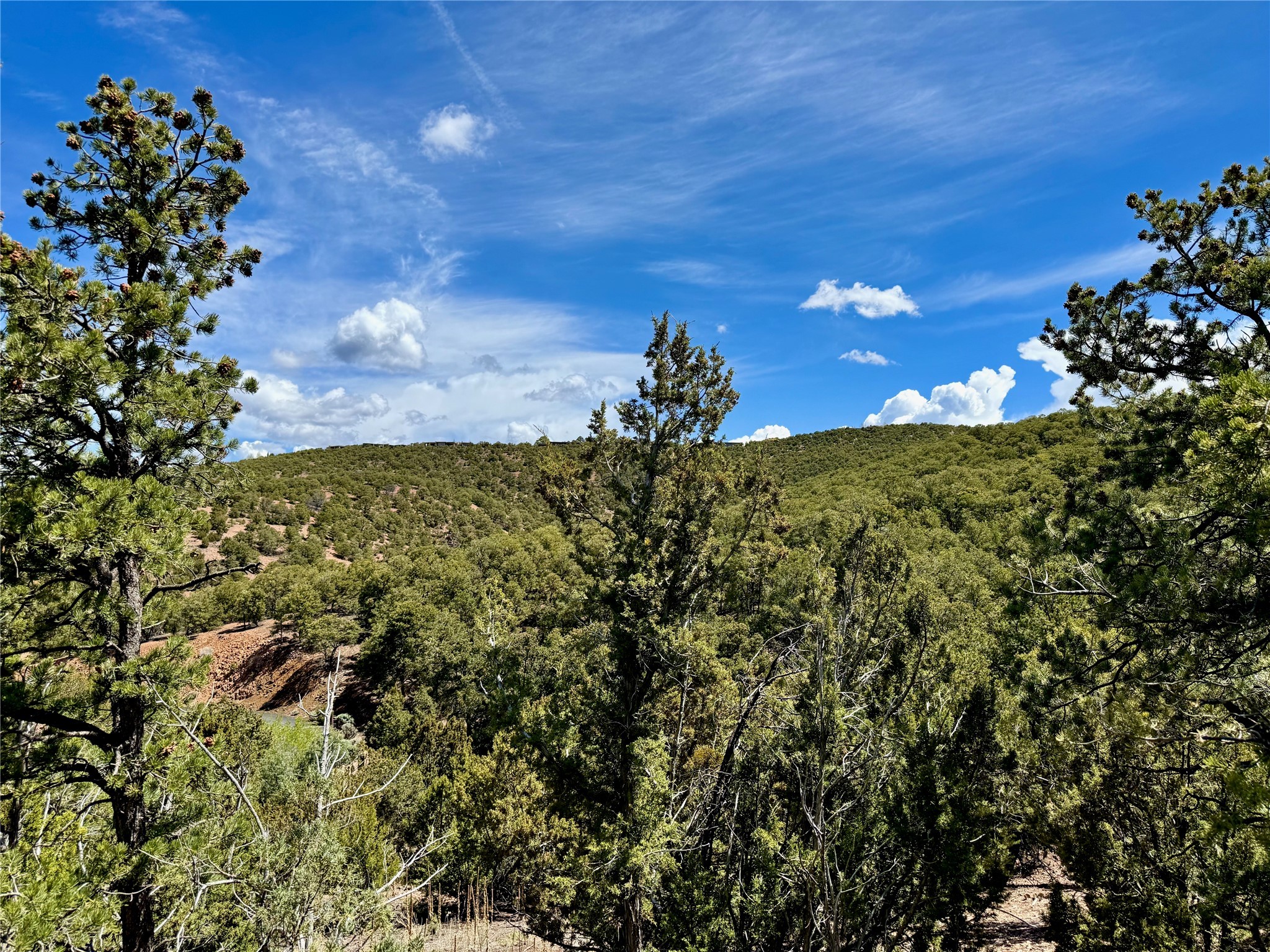 Various Summit Hills, Santa Fe, New Mexico image 47