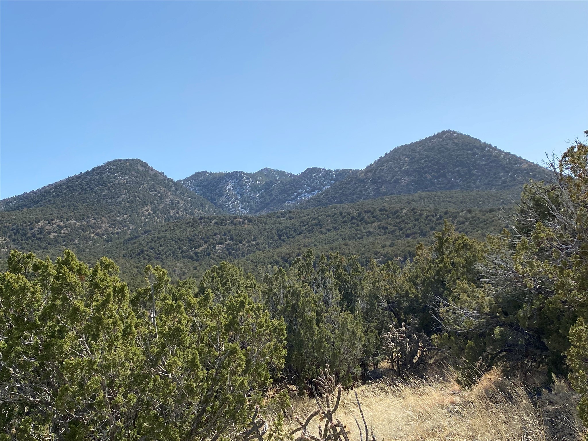 155 Cedar Mountain, Cerrillos, New Mexico image 2