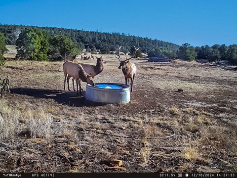 Tiny photo for TBD Gabaldon Lane, Santa Fe, NM 87508 (MLS # 202500662)