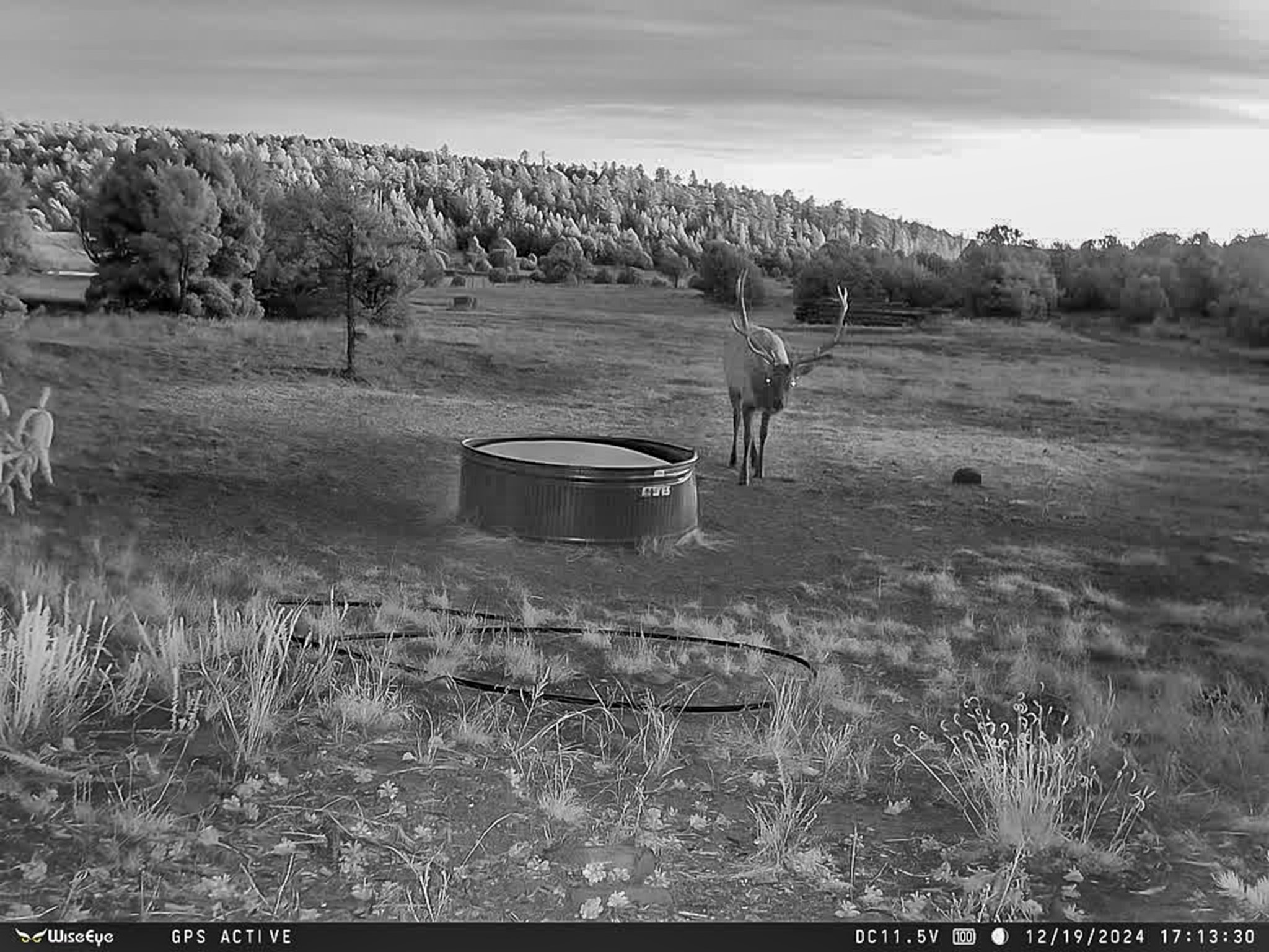 TBD Gabaldon Lane, Santa Fe, New Mexico image 4