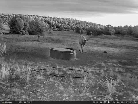 Tiny photo for TBD Gabaldon Lane, Santa Fe, NM 87508 (MLS # 202500662)