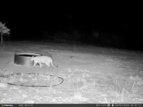 Tiny photo for TBD Gabaldon Lane, Santa Fe, NM 87508 (MLS # 202500662)