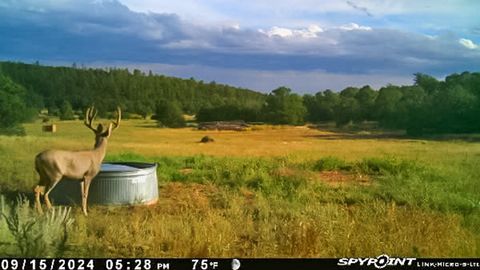 Tiny photo for TBD Gabaldon Lane, Santa Fe, NM 87508 (MLS # 202500662)