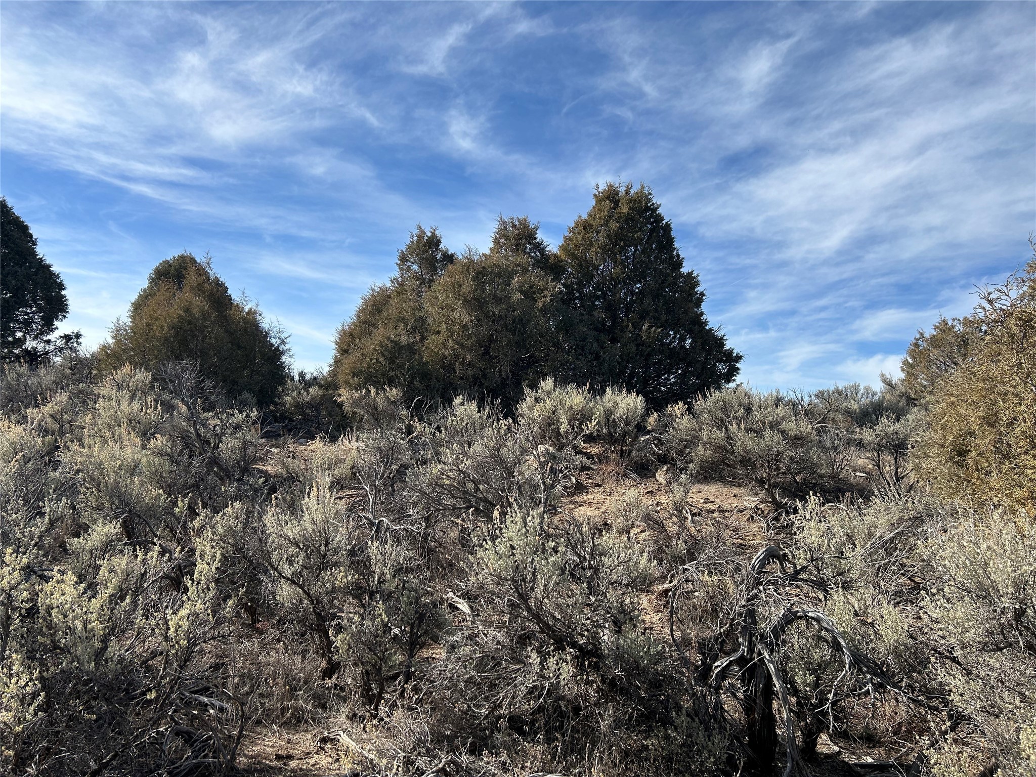 TBD 3 LOTS 1.5 ACRES Chama River Estates, Tierra Amarilla, New Mexico image 4