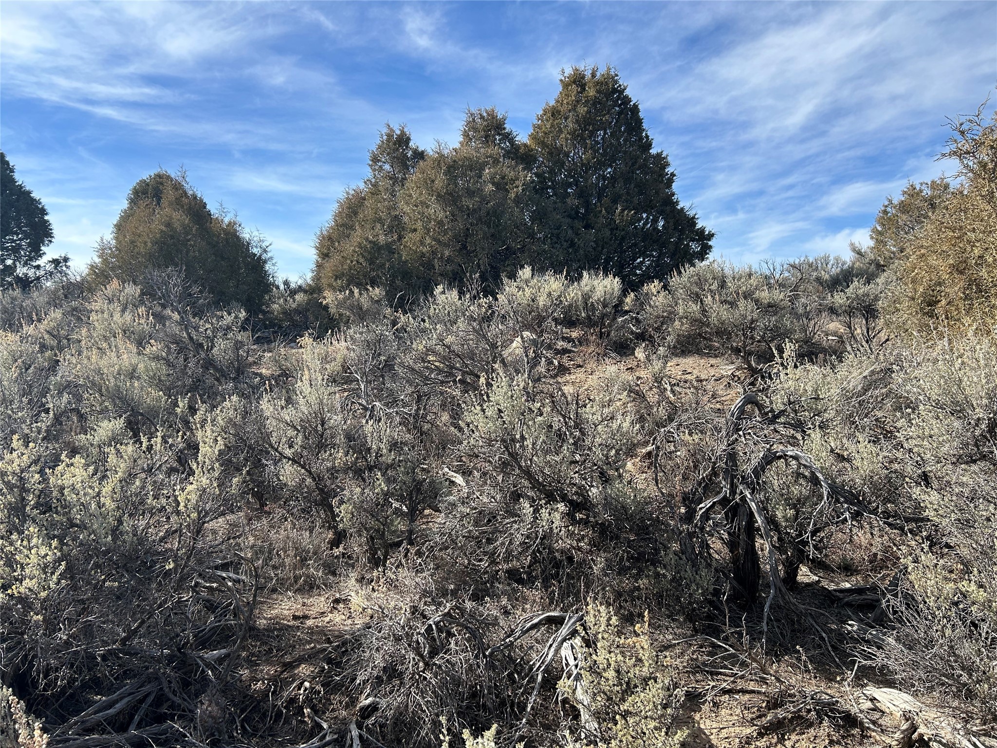 TBD 3 LOTS 1.5 ACRES Chama River Estates, Tierra Amarilla, New Mexico image 5