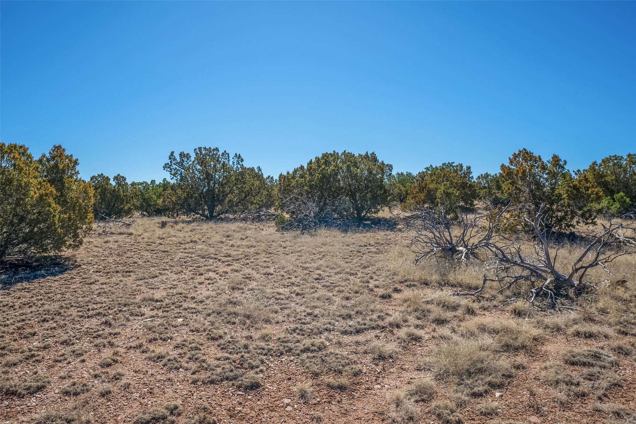 7 Escopeta Court, Santa Fe, New Mexico image 8