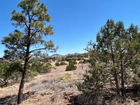 Tiny photo for 13 Palacio Road, Santa Fe, NM 87508 (MLS # 202602772)