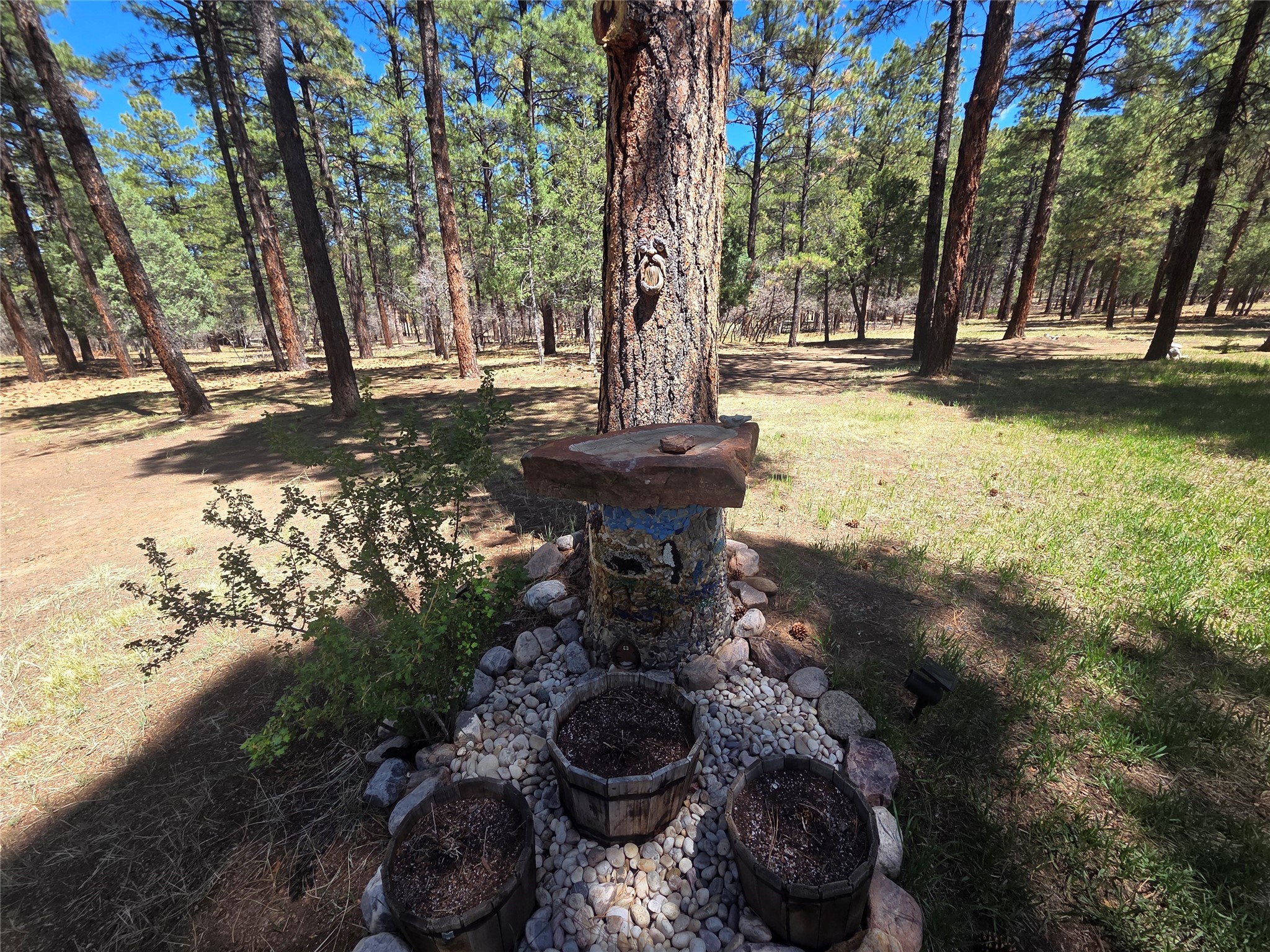 93 Private Drive 1754 Dr, Chama, New Mexico image 44