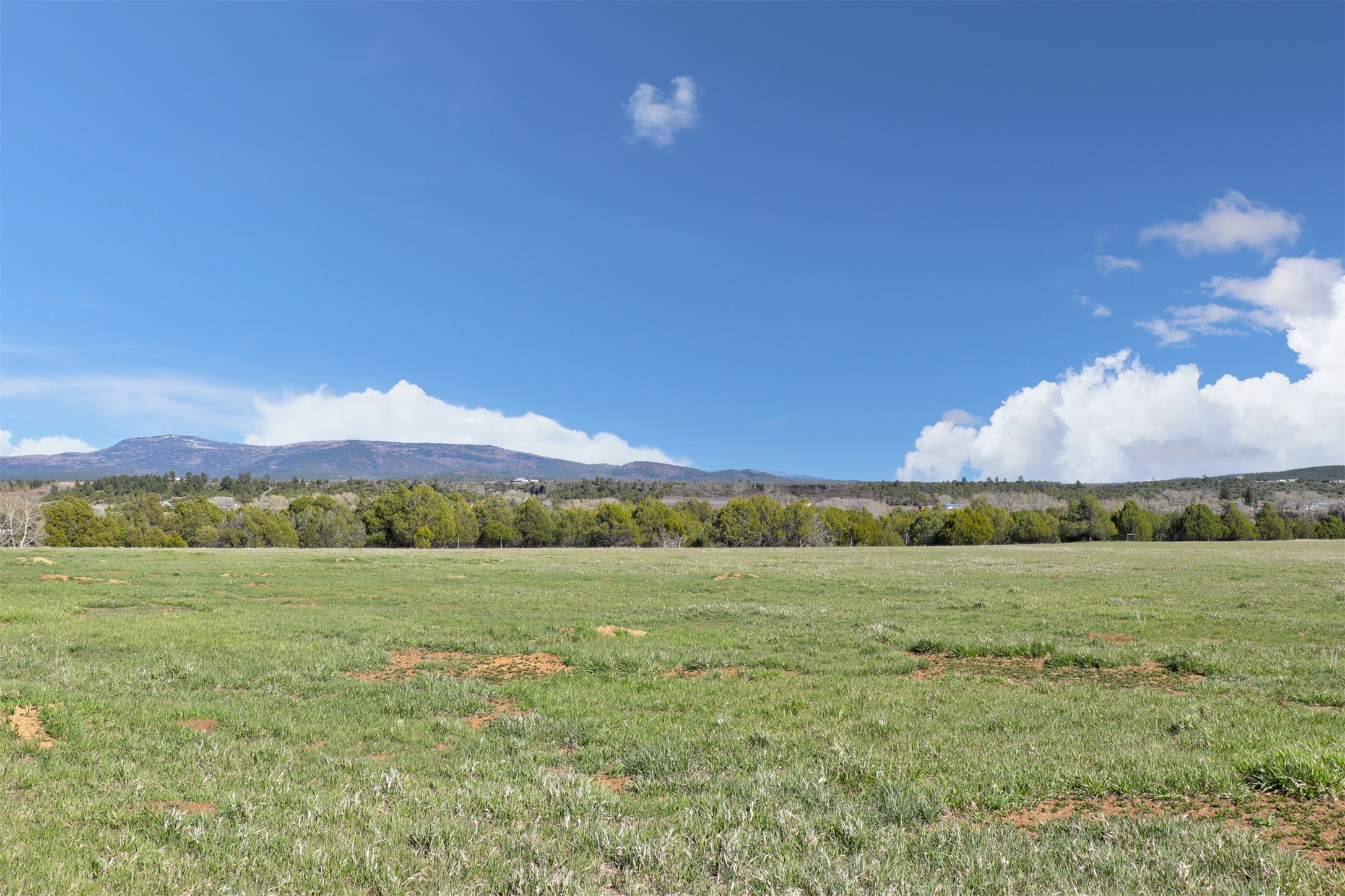 TBD State Road 95, Los Ojos, New Mexico image 3