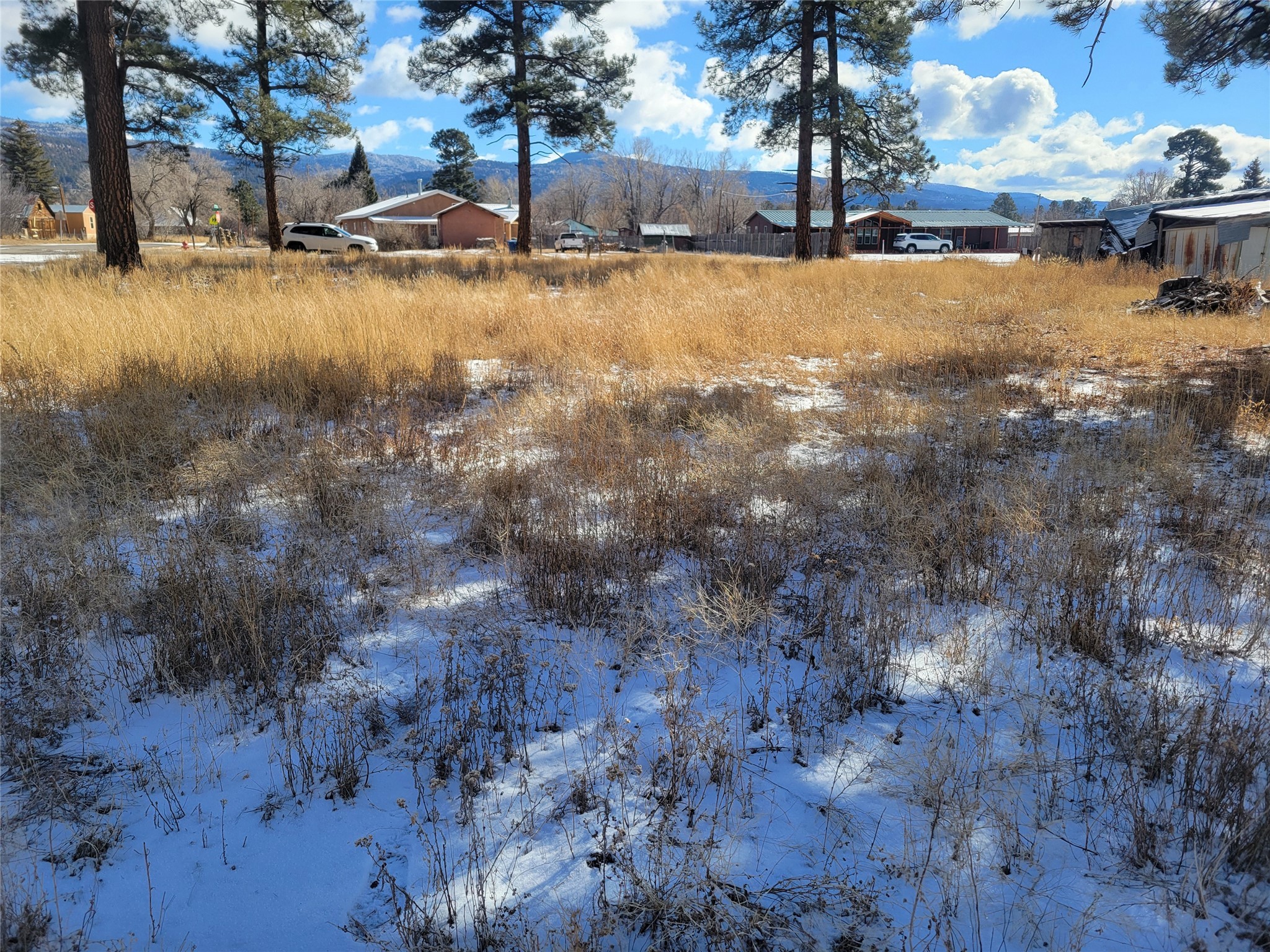 Grove, Chama, New Mexico image 15
