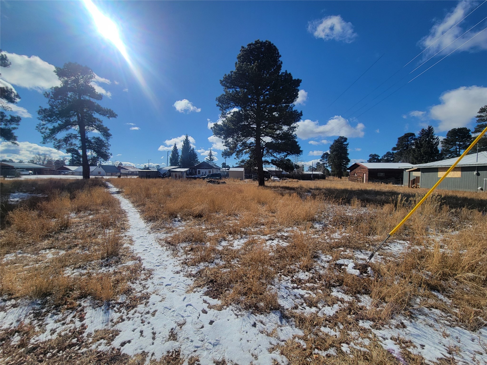 Grove, Chama, New Mexico image 11