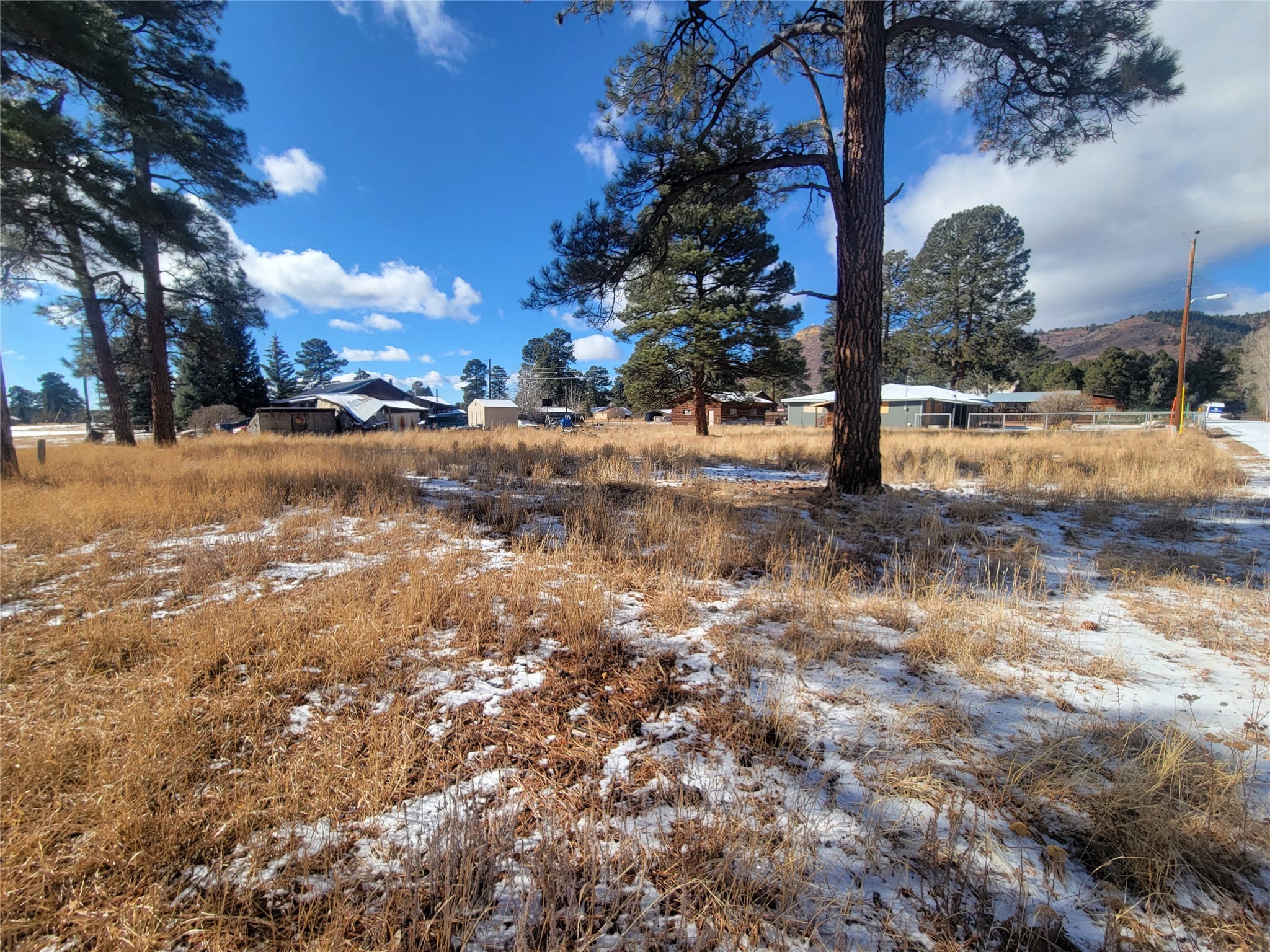 Grove, Chama, New Mexico image 2