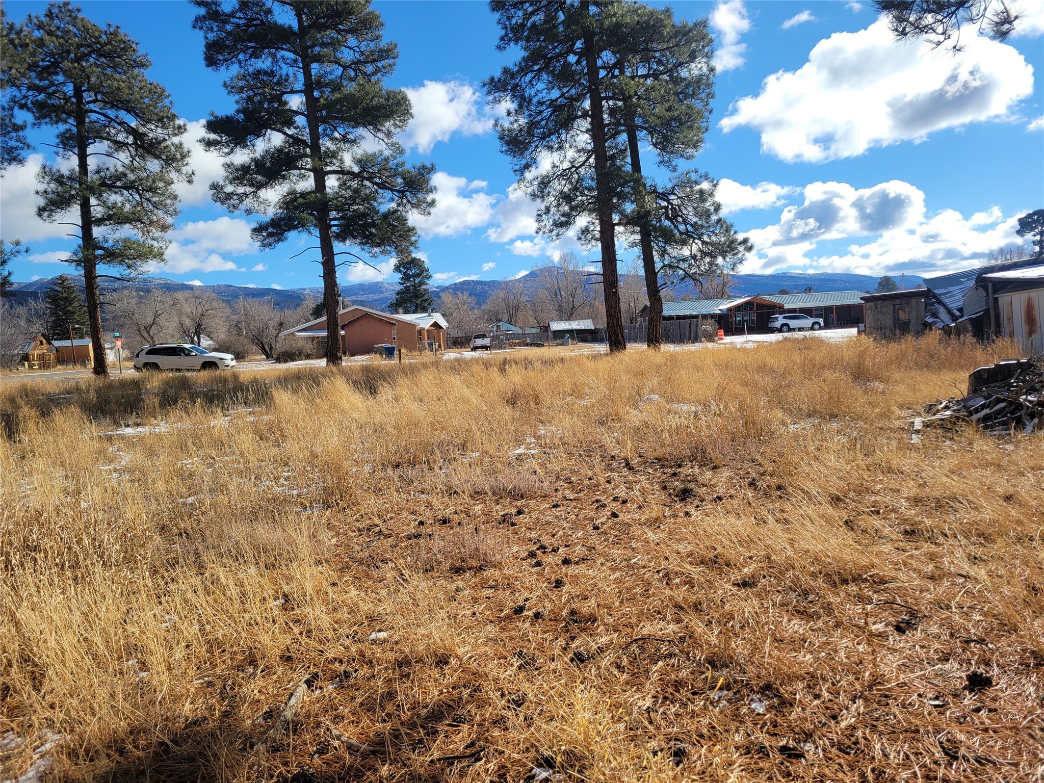 Grove, Chama, New Mexico image 5