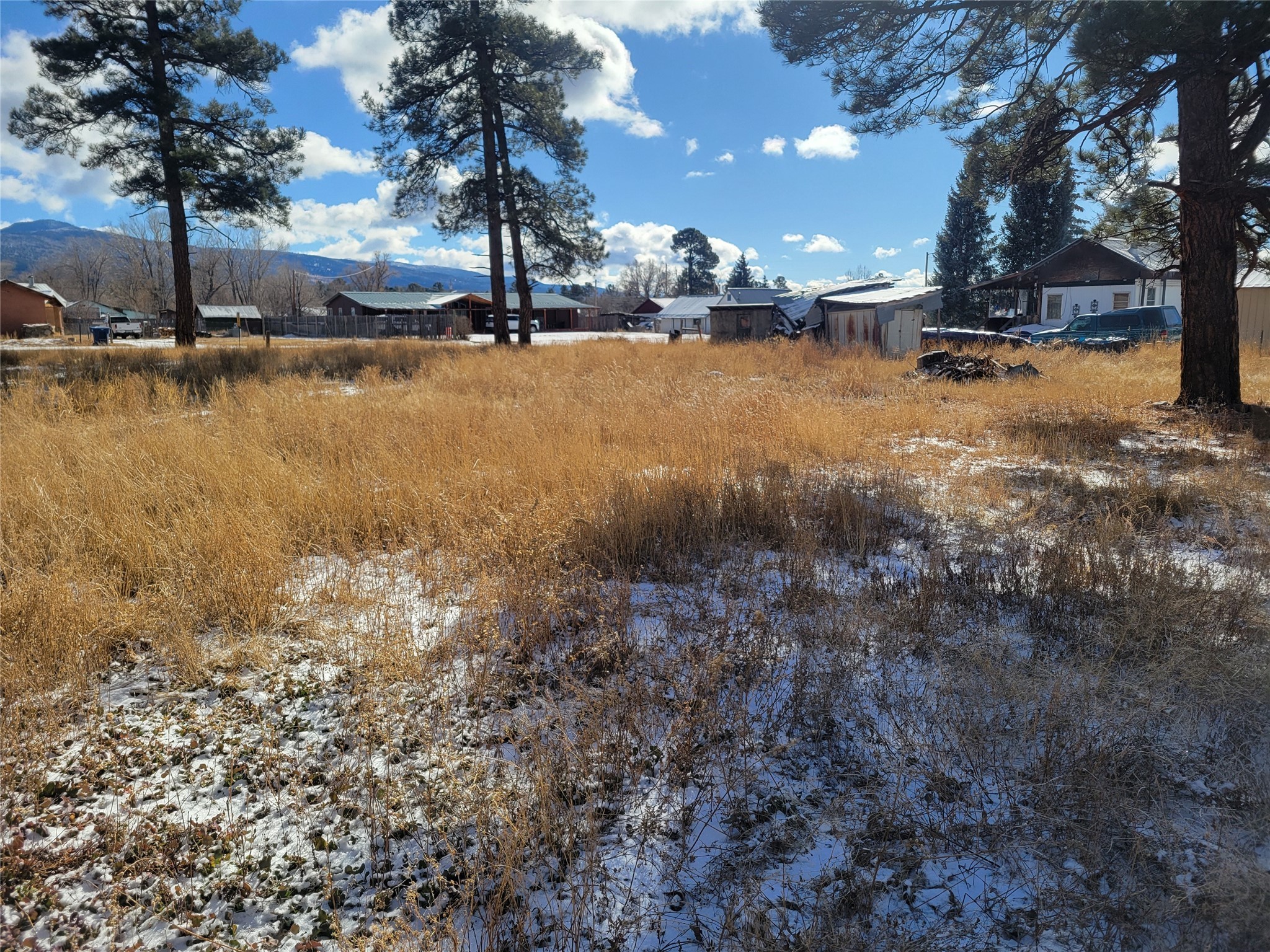 Grove, Chama, New Mexico image 6