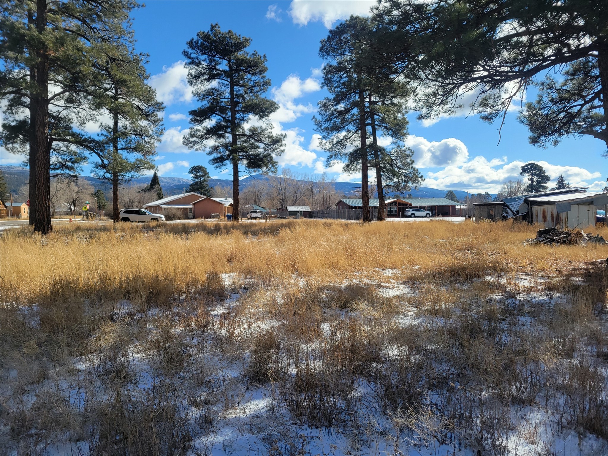 Grove, Chama, New Mexico image 12