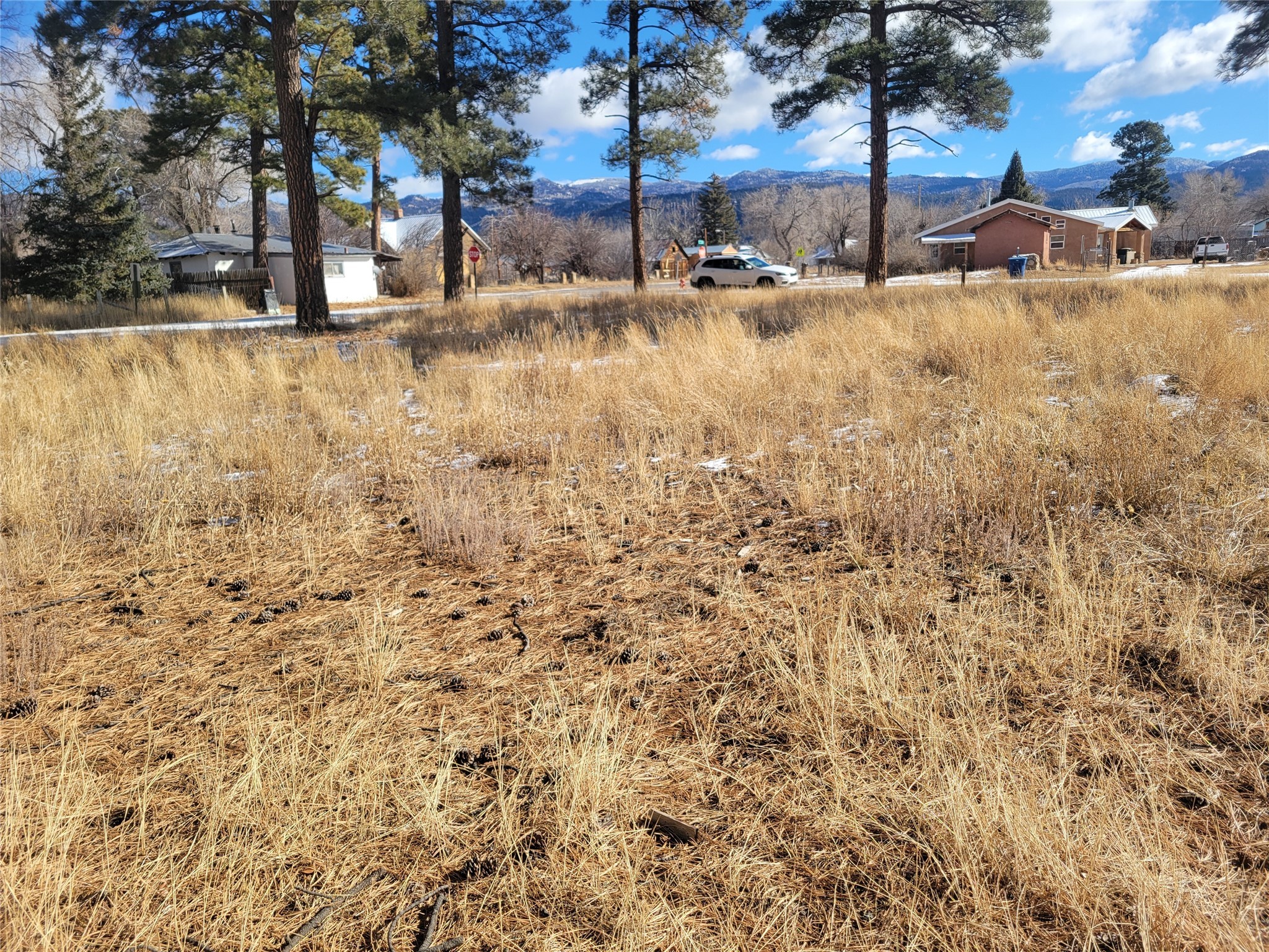 Grove, Chama, New Mexico image 14