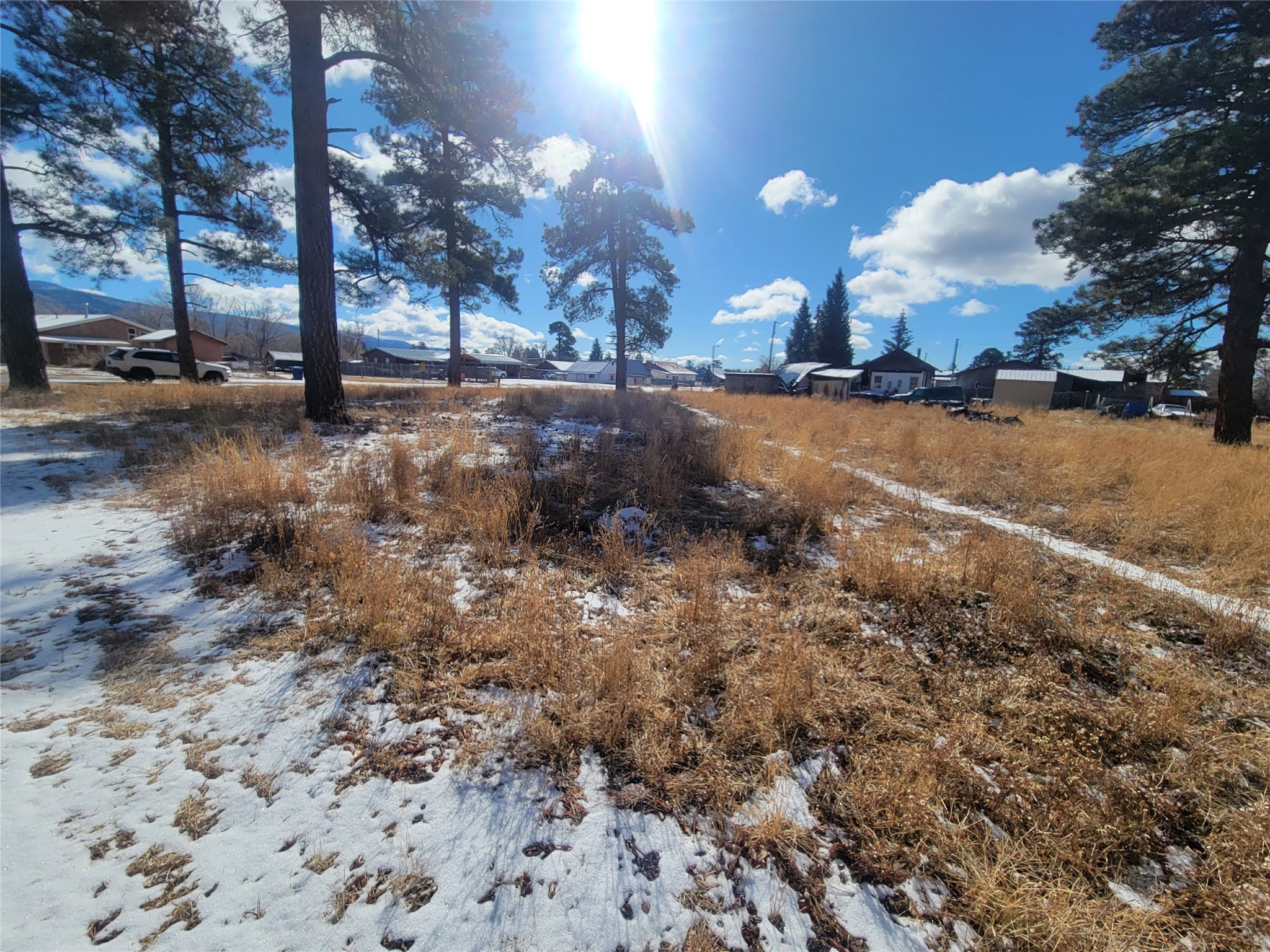 Grove, Chama, New Mexico image 4