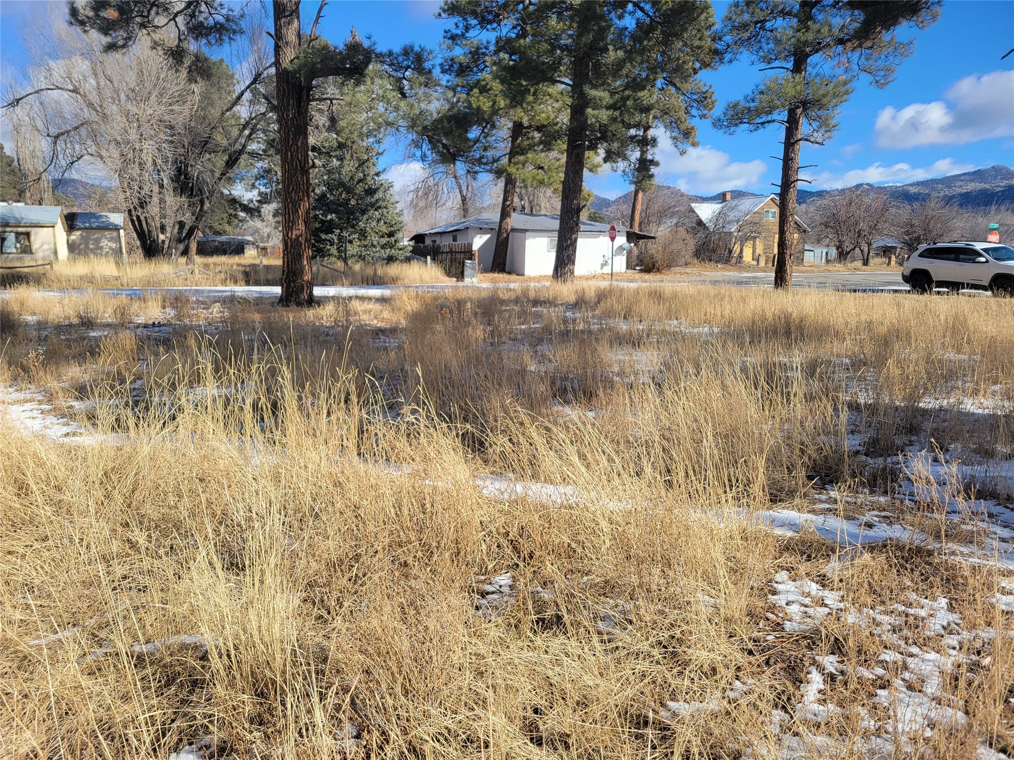 Grove, Chama, New Mexico image 13