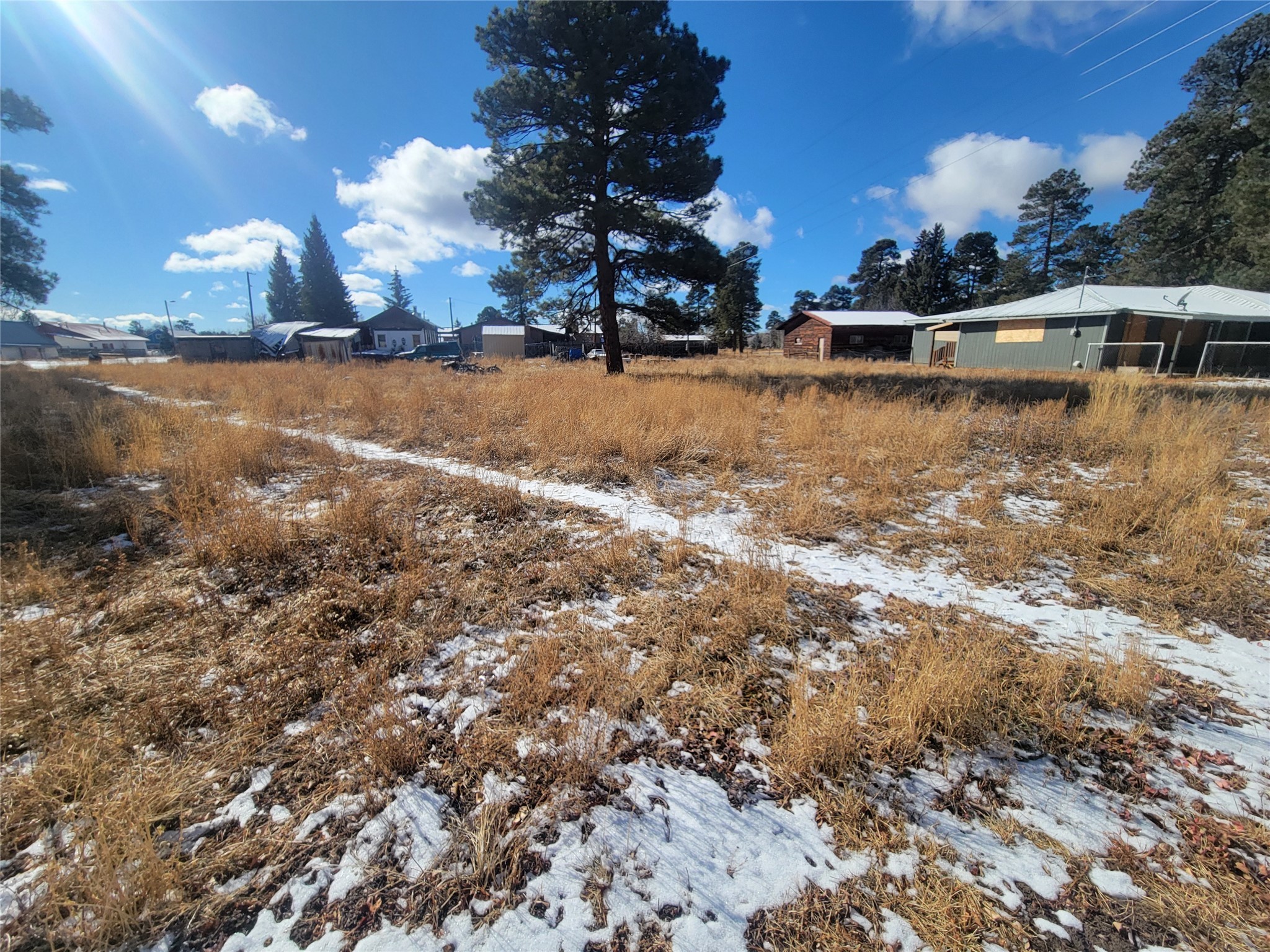 Grove, Chama, New Mexico image 17