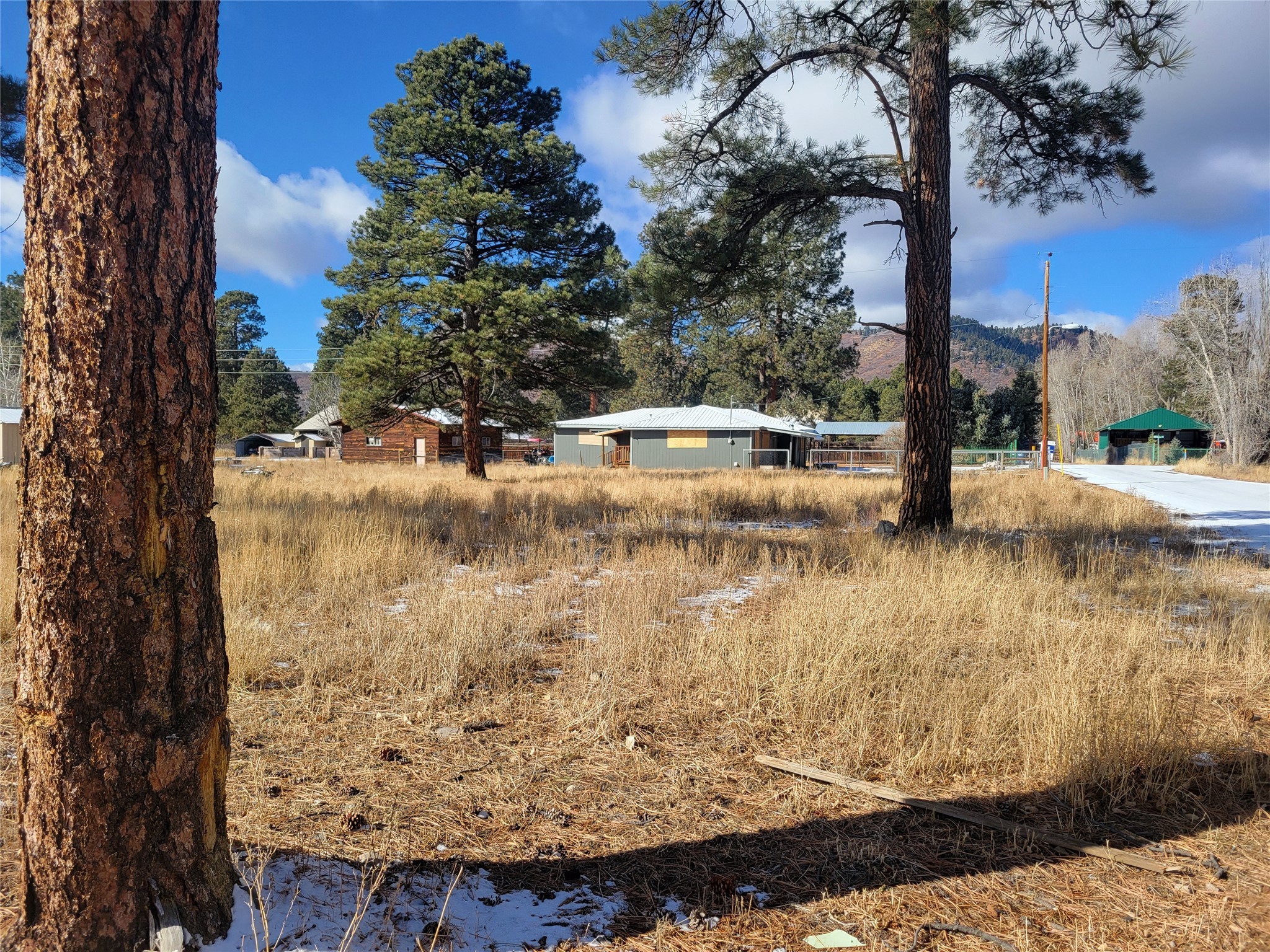 Grove, Chama, New Mexico image 3