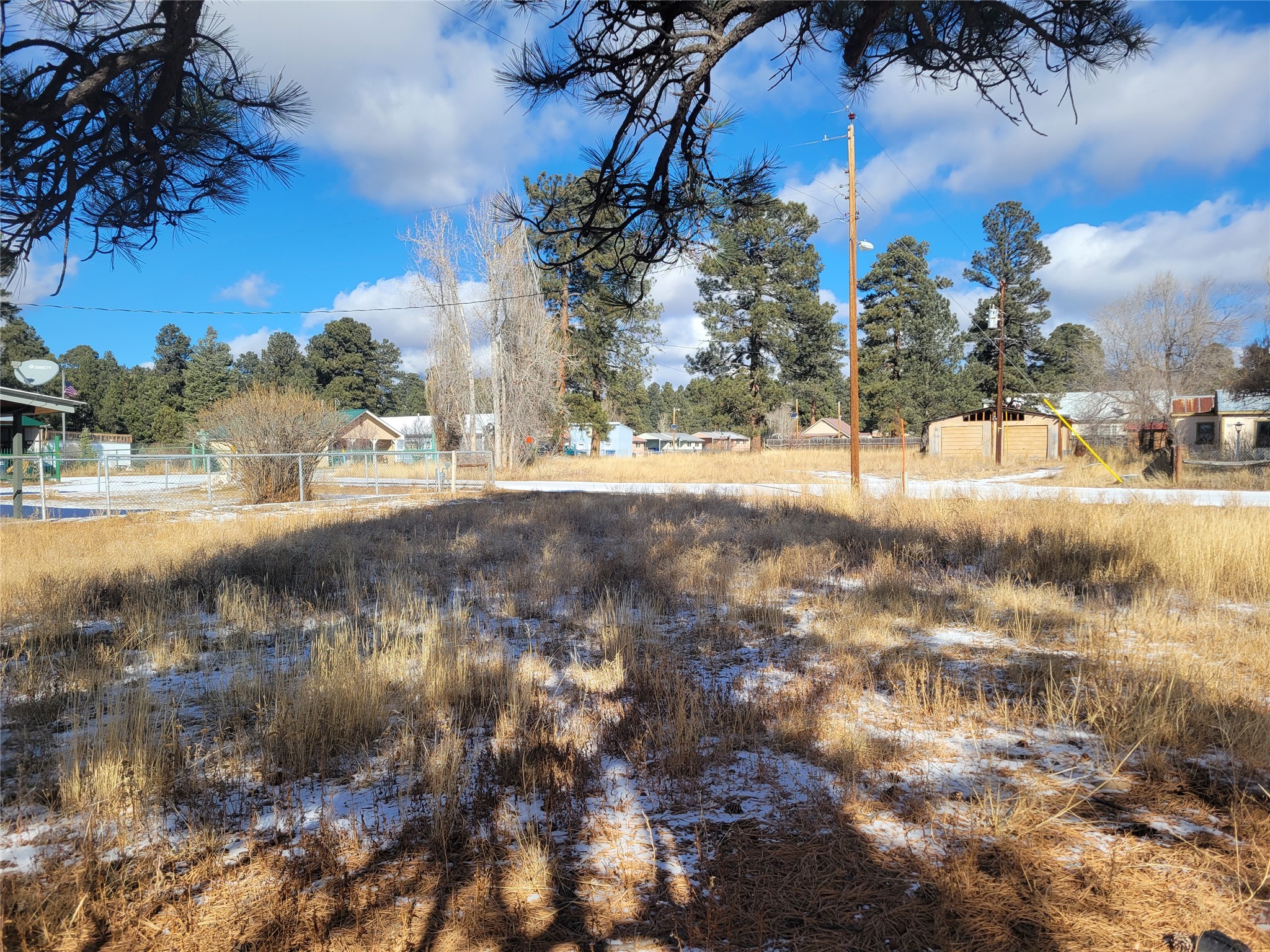 Grove, Chama, New Mexico image 7
