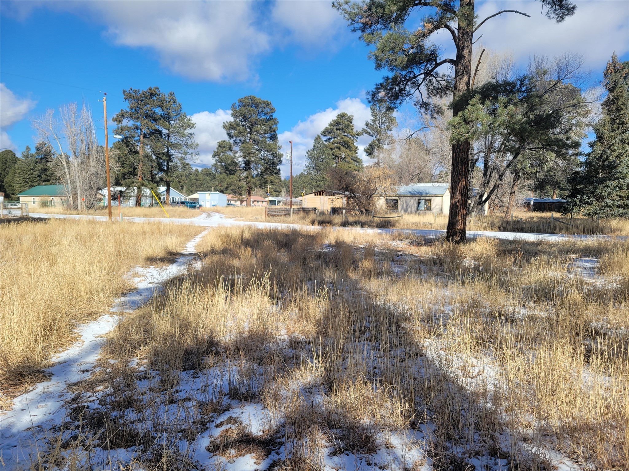Grove, Chama, New Mexico image 10