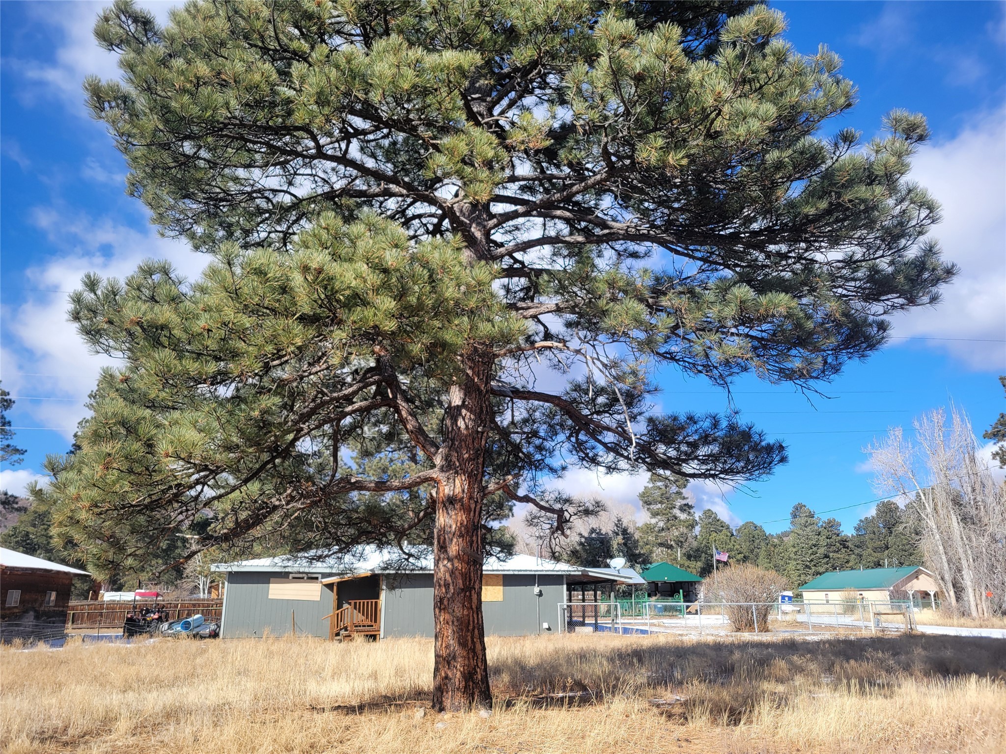 Grove, Chama, New Mexico image 8