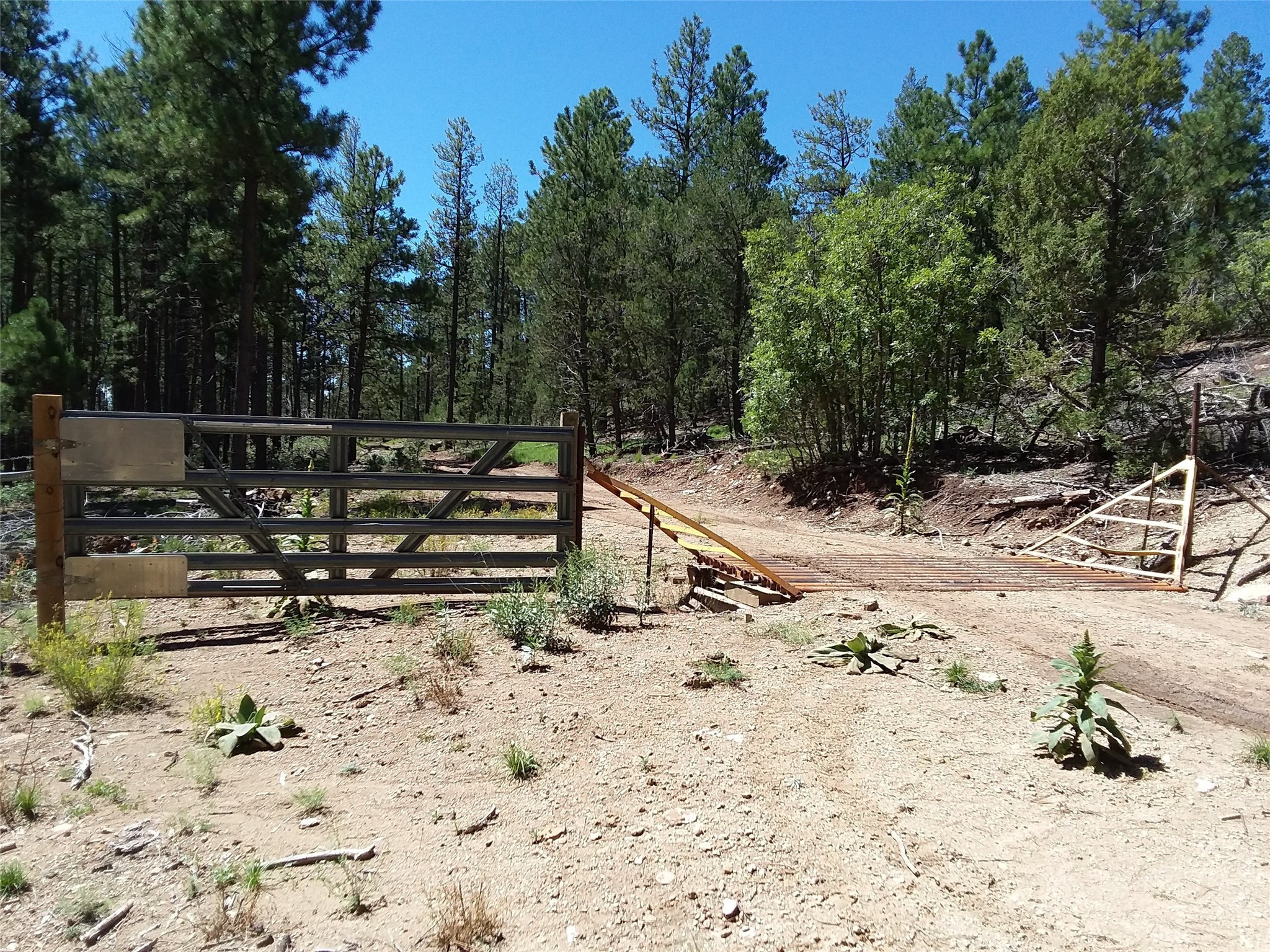 344 Forest Rd 83, Pecos, New Mexico image 8