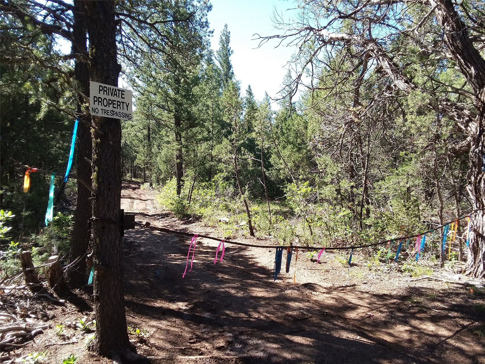 344 Forest Rd 83, Pecos, New Mexico image 5