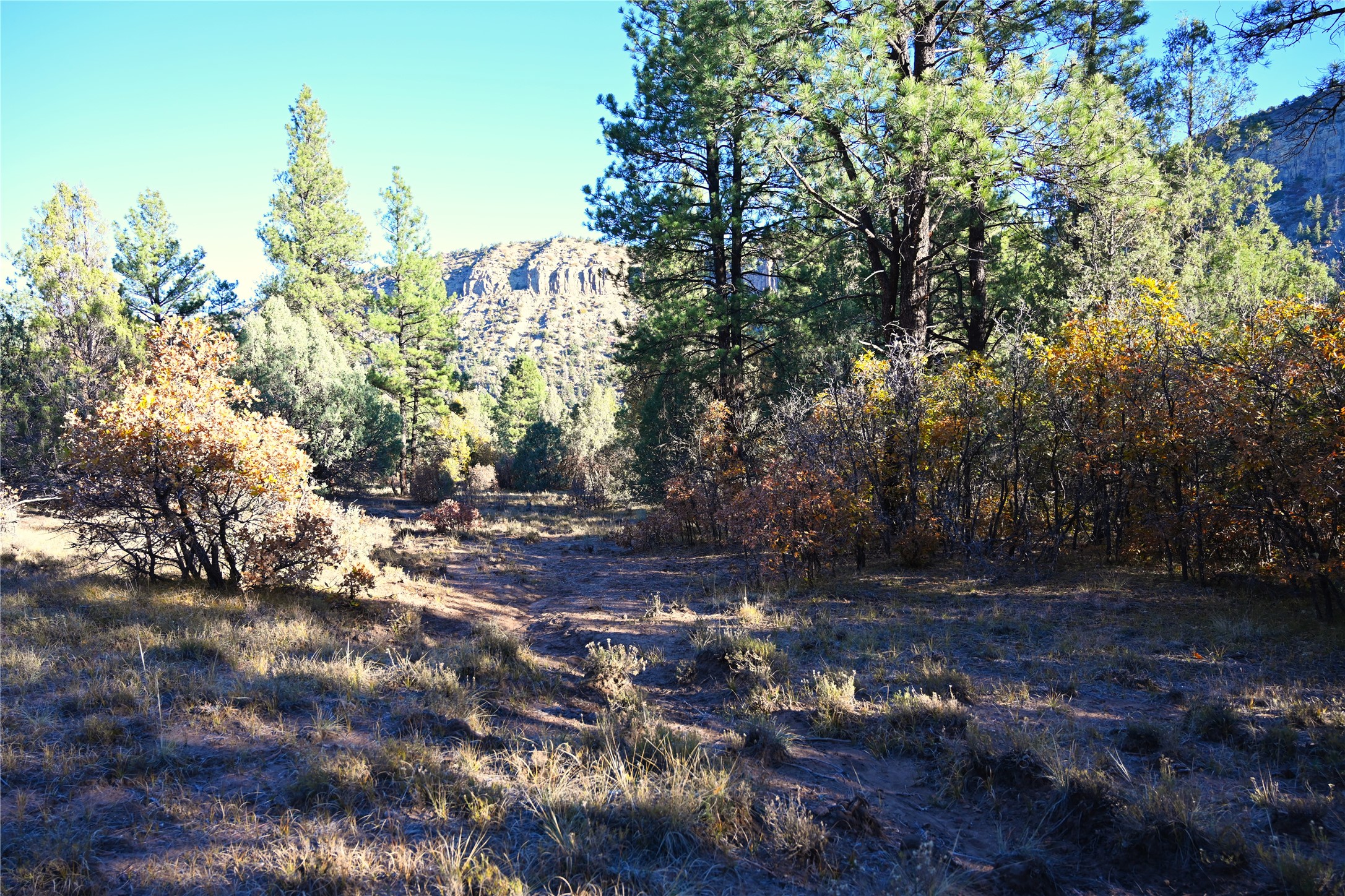 00 Cr 352, Chama, New Mexico image 32