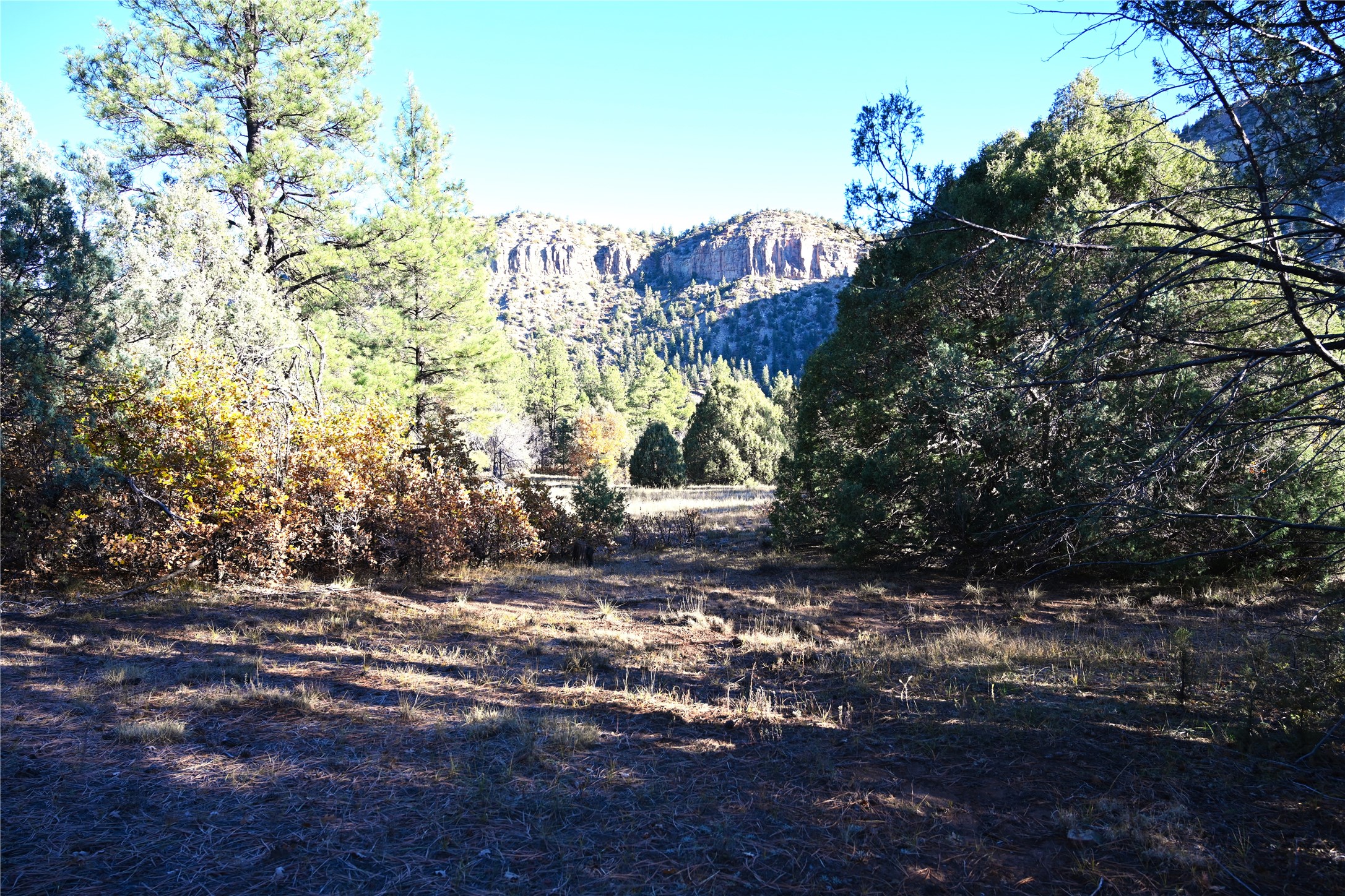 00 Cr 352, Chama, New Mexico image 35