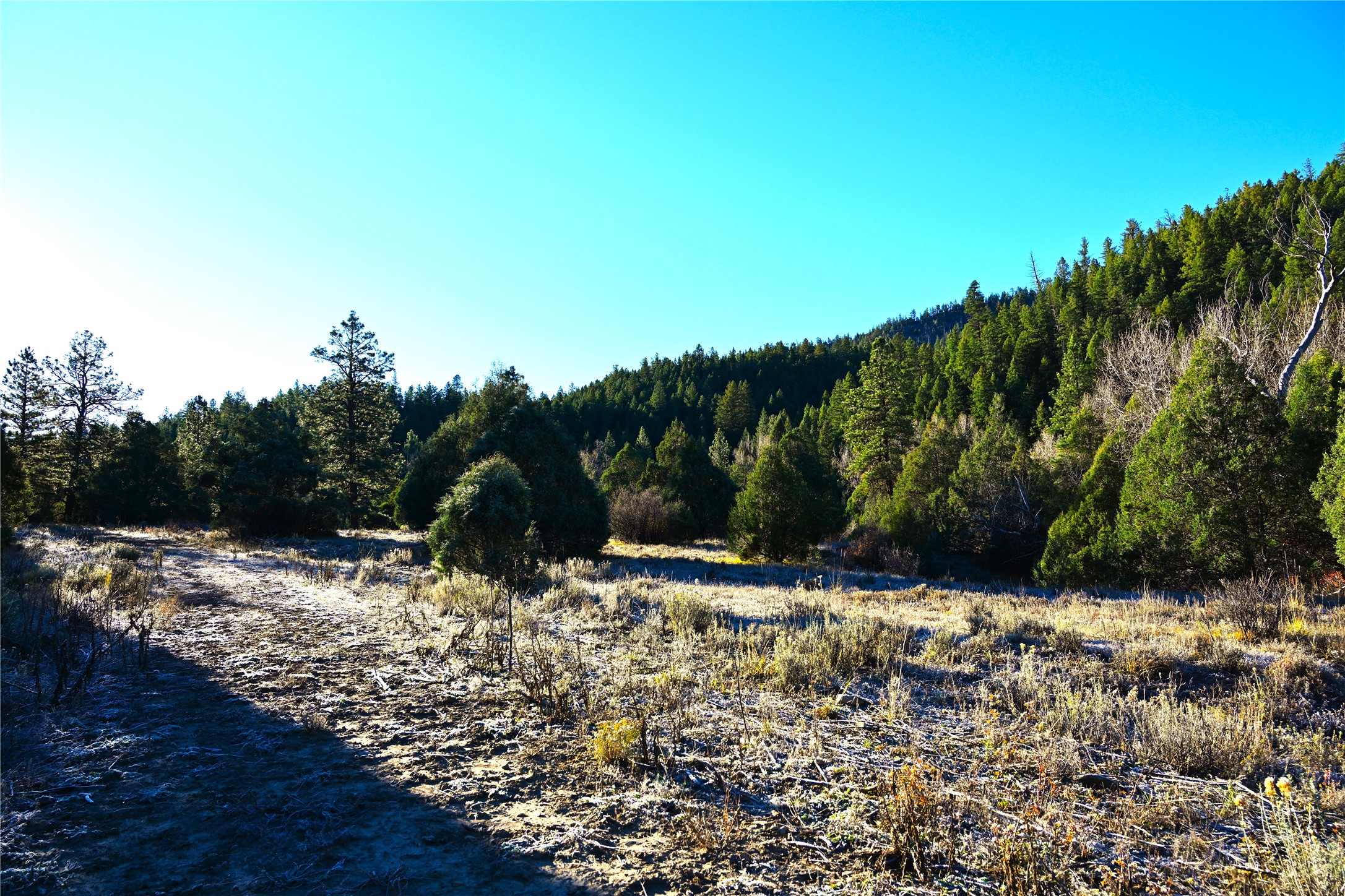 00 Cr 352, Chama, New Mexico image 13