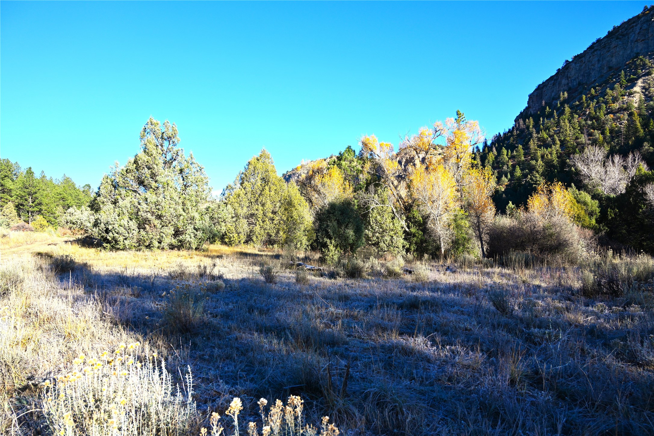 00 Cr 352, Chama, New Mexico image 8