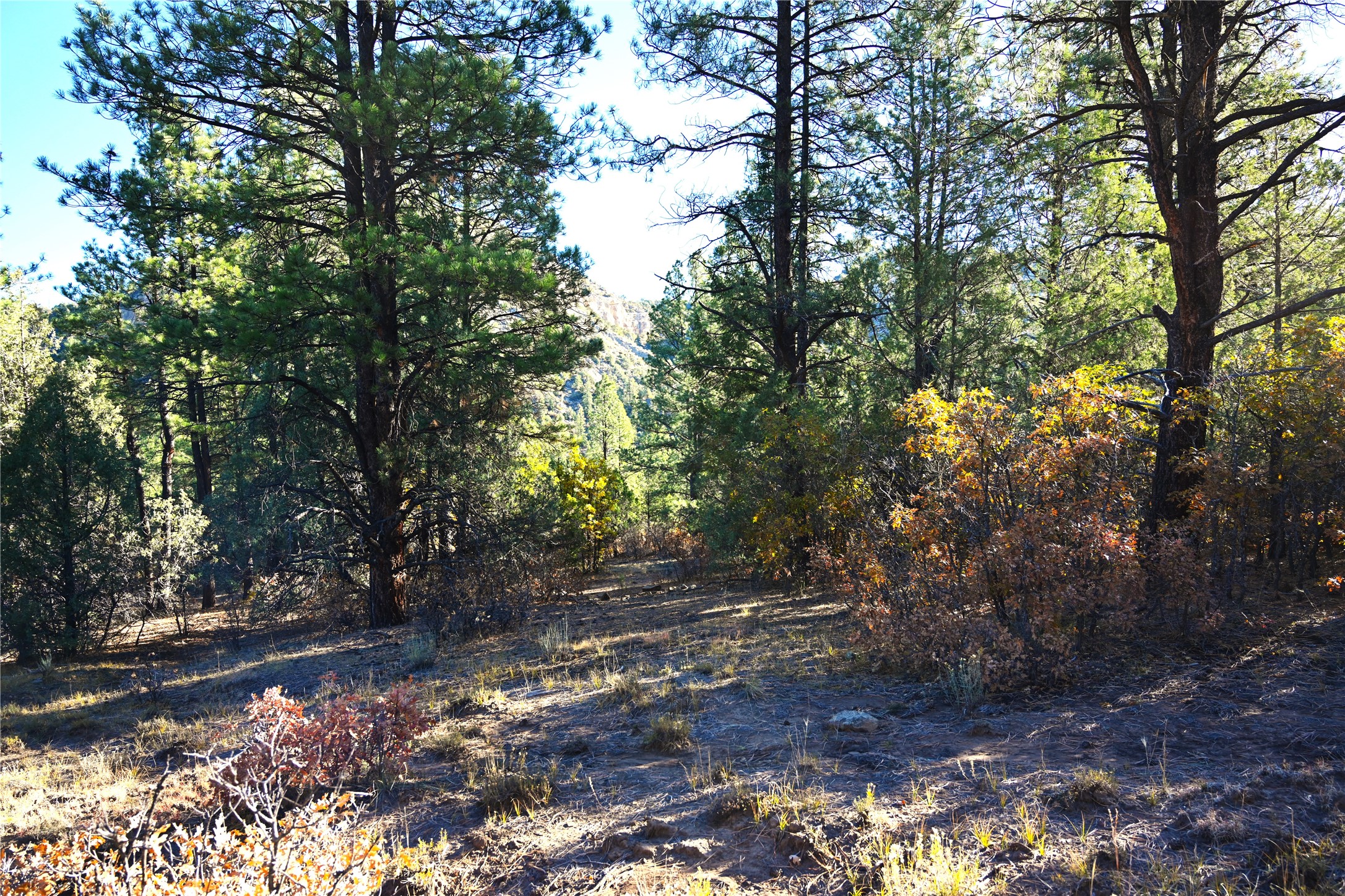 00 Cr 352, Chama, New Mexico image 33