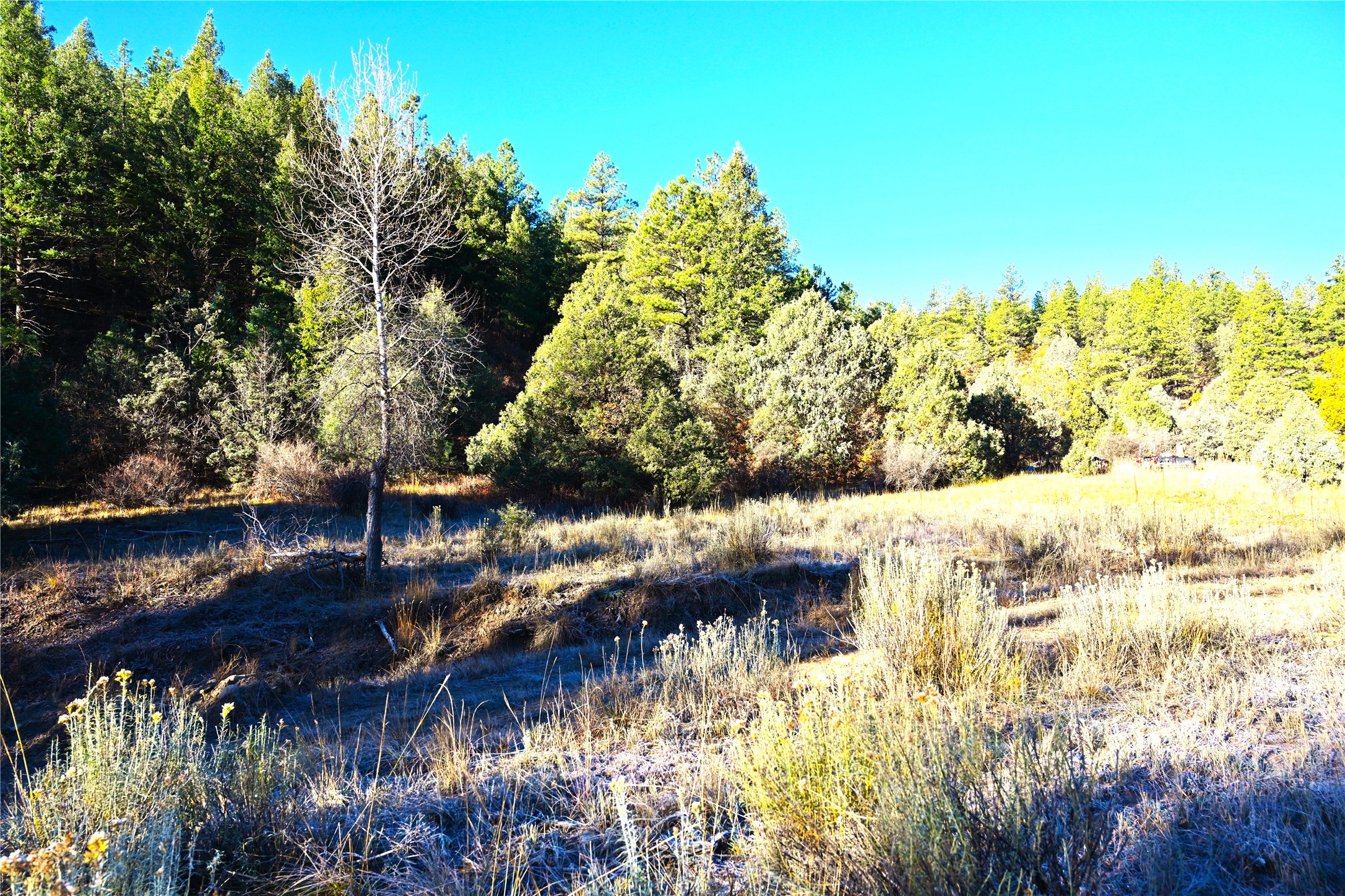 00 Cr 352, Chama, New Mexico image 9