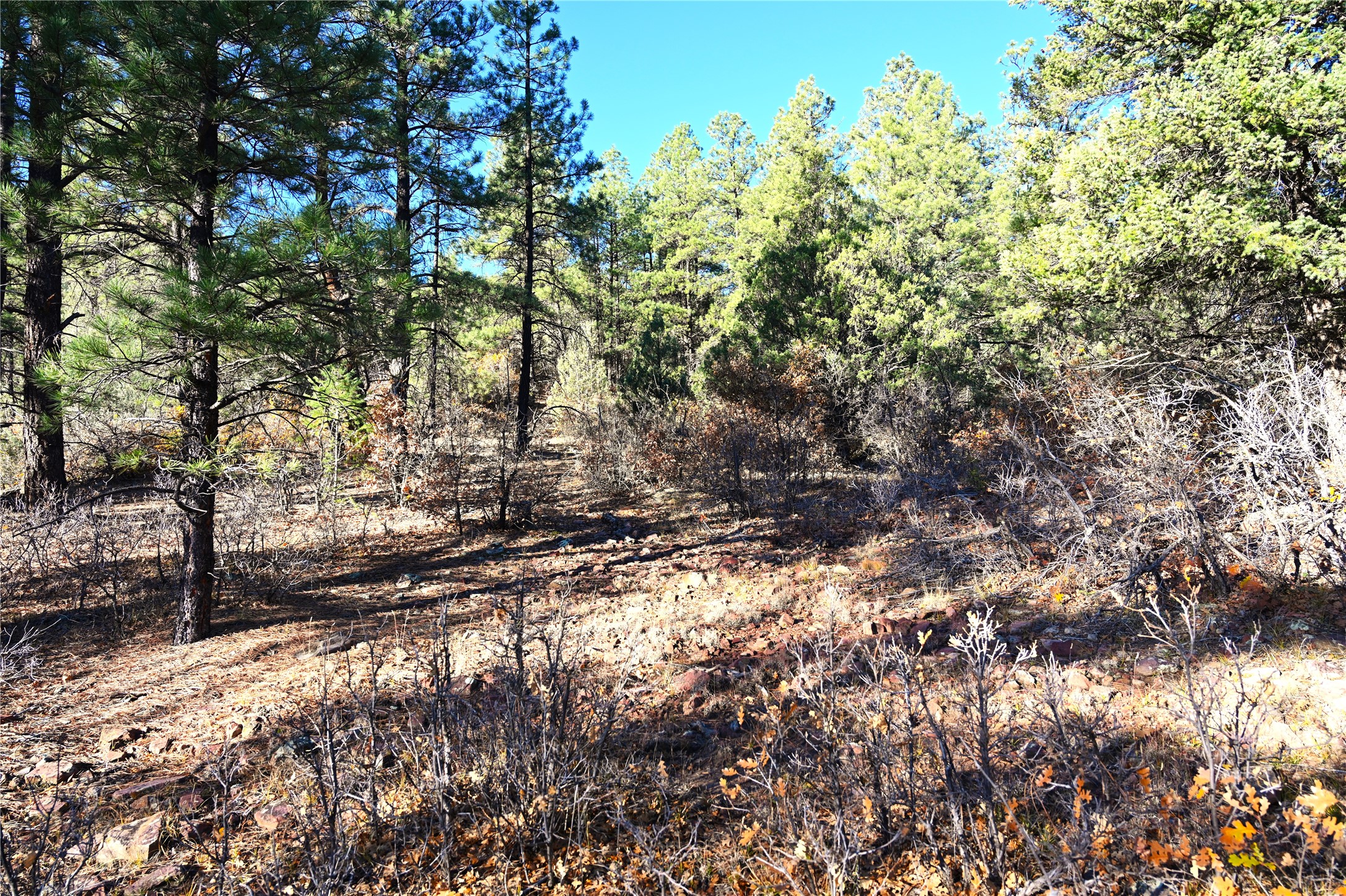 00 Cr 352, Chama, New Mexico image 27