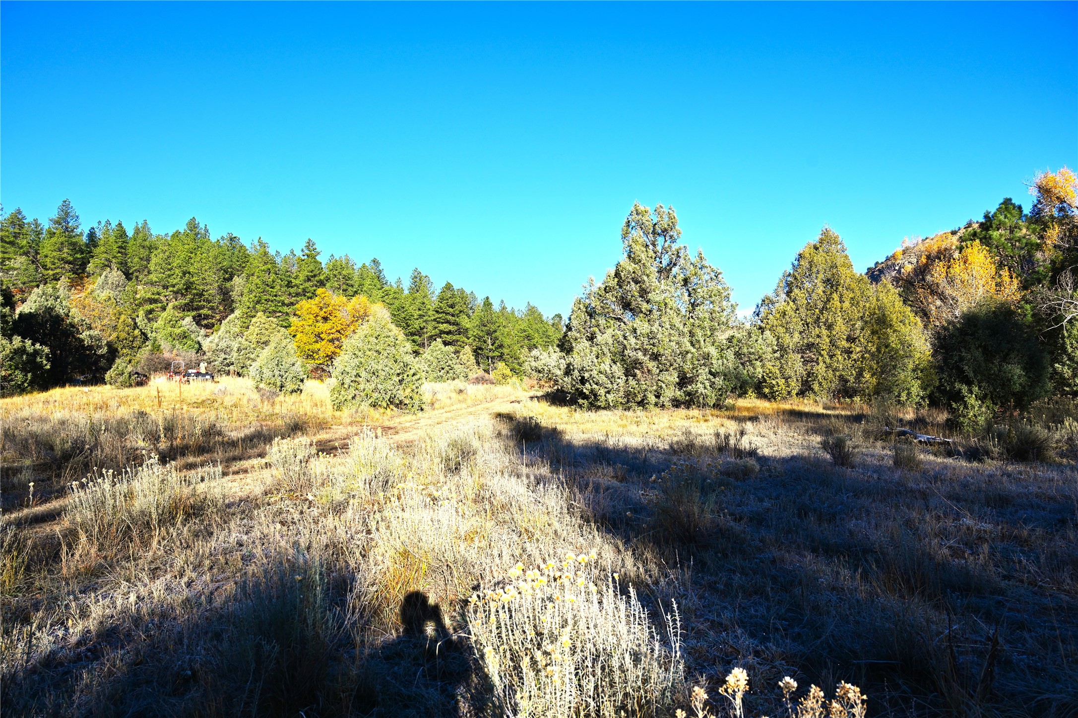 00 Cr 352, Chama, New Mexico image 10