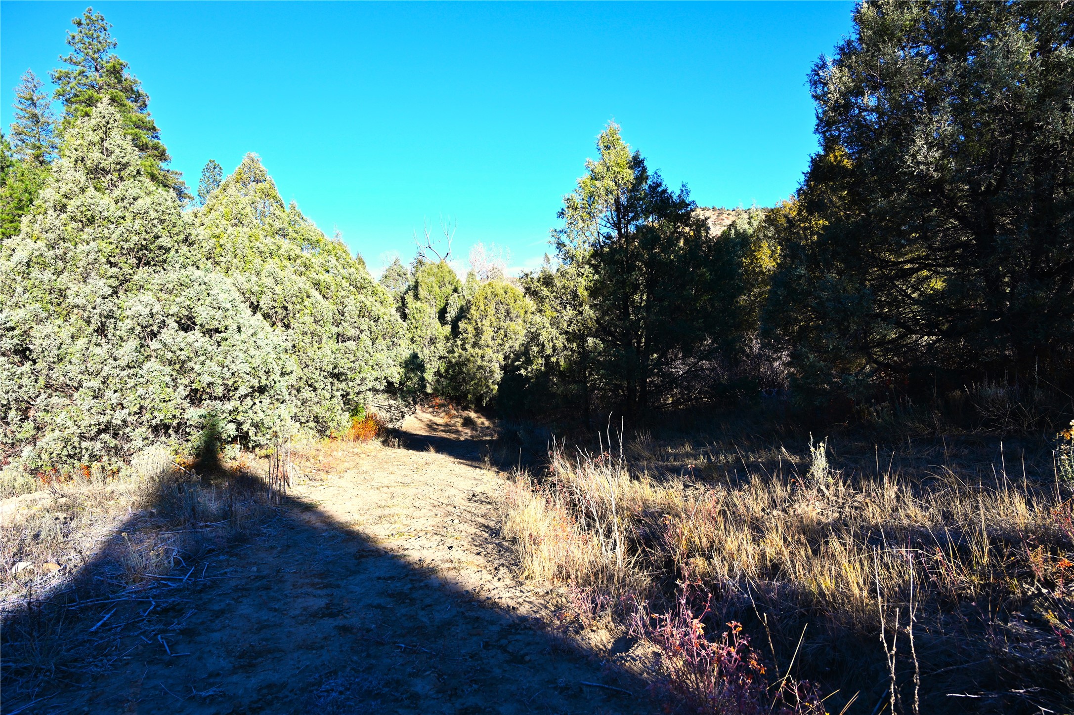 00 Cr 352, Chama, New Mexico image 16