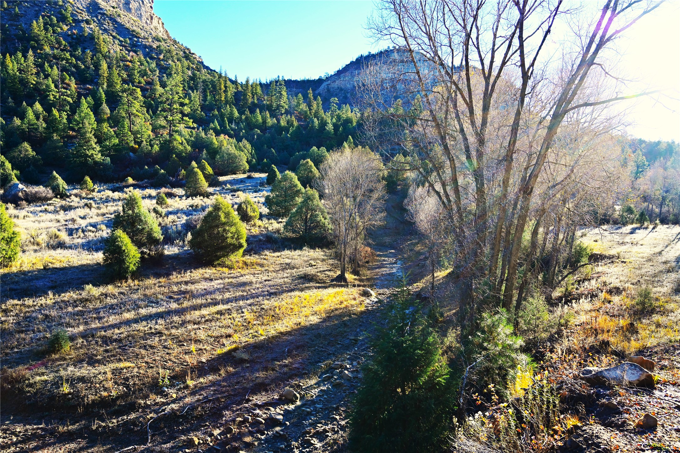 00 Cr 352, Chama, New Mexico image 4