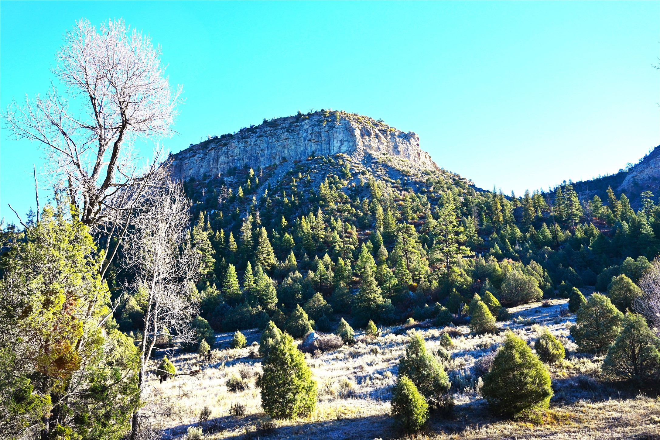 00 Cr 352, Chama, New Mexico image 5